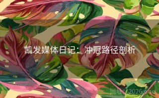凯发媒体日记：冲冠路径剖析