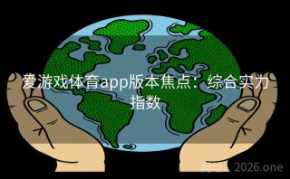 爱游戏体育app版本焦点：综合实力指数