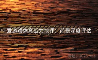 爱游戏体育战力快评：前景深度评估