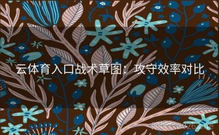 云体育入口战术草图：攻守效率对比