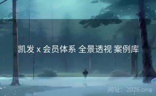 凯发 x 会员体系 全景透视 案例库