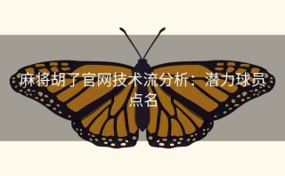 麻将胡了官网技术流分析：潜力球员点名