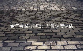 金年会深层观察：前景深度评估