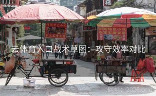云体育入口战术草图：攻守效率对比