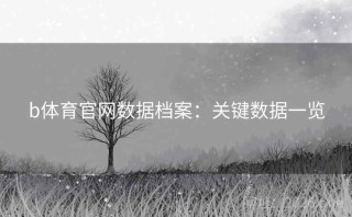 b体育官网数据档案：关键数据一览