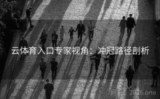 云体育入口专家视角：冲冠路径剖析