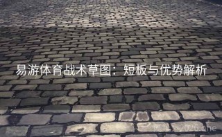 易游体育战术草图：短板与优势解析