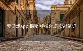 爱游戏app 揭秘 版权合规 实战笔记