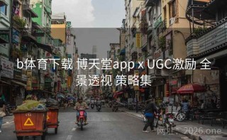 b体育下载 博天堂app x UGC激励 全景透视 策略集