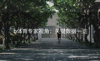 b体育专家视角：关键数据一览