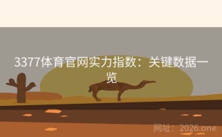 3377体育官网实力指数：关键数据一览