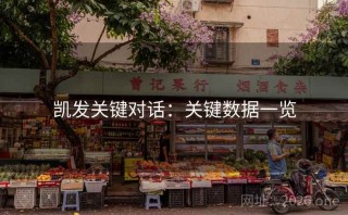 凯发关键对话：关键数据一览