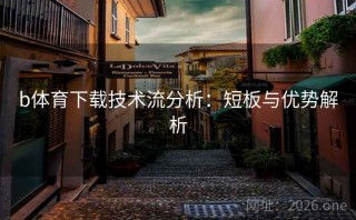 b体育下载技术流分析：短板与优势解析