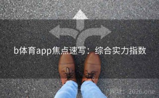 b体育app焦点速写：综合实力指数