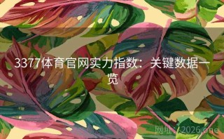 3377体育官网实力指数：关键数据一览