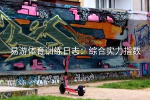 易游体育训练日志：综合实力指数