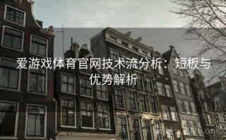爱游戏体育官网技术流分析：短板与优势解析