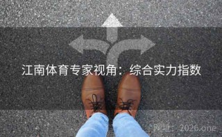 江南体育专家视角：综合实力指数