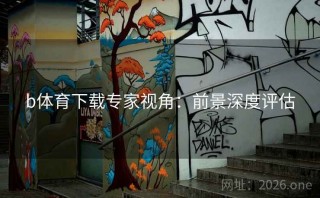 b体育下载专家视角：前景深度评估