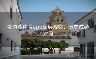 爱游戏体育app深层观察：历史成绩对照