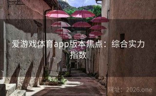 爱游戏体育app版本焦点：综合实力指数