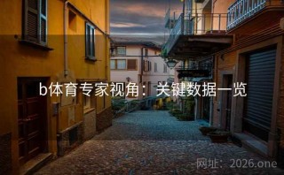 b体育专家视角：关键数据一览