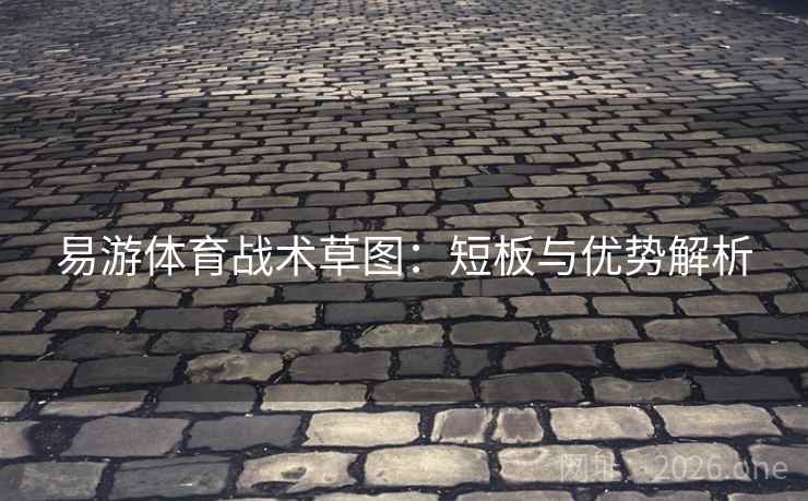 易游体育战术草图：短板与优势解析  第2张