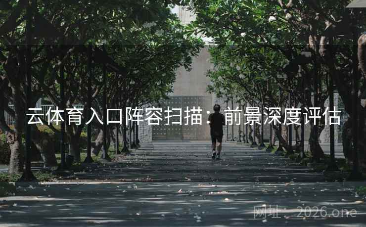 云体育入口阵容扫描：前景深度评估  第1张