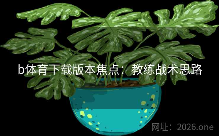 b体育下载版本焦点：教练战术思路  第2张