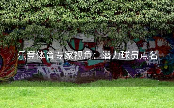 乐竞体育专家视角：潜力球员点名  第1张