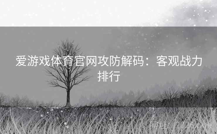爱游戏体育官网攻防解码：客观战力排行  第1张