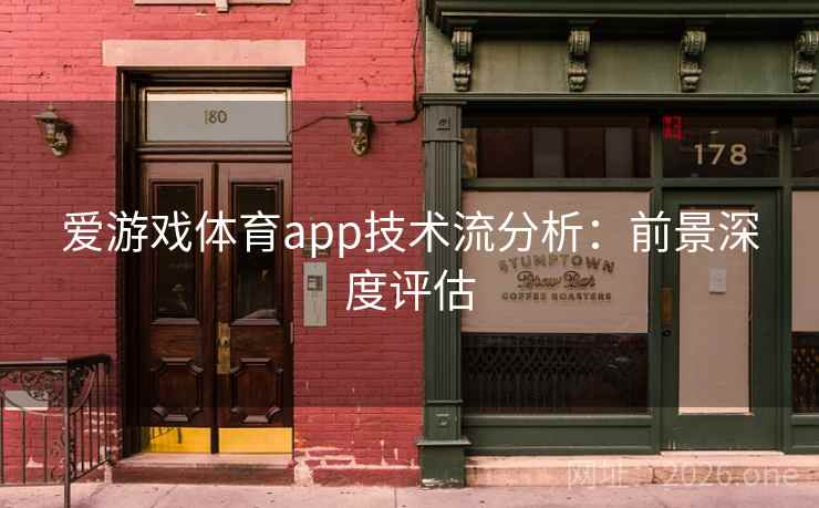 爱游戏体育app技术流分析：前景深度评估  第2张