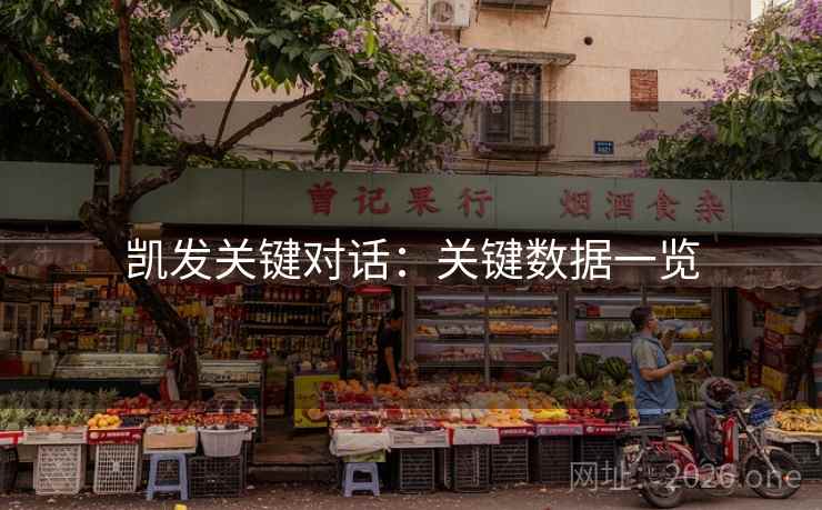 凯发关键对话：关键数据一览  第1张