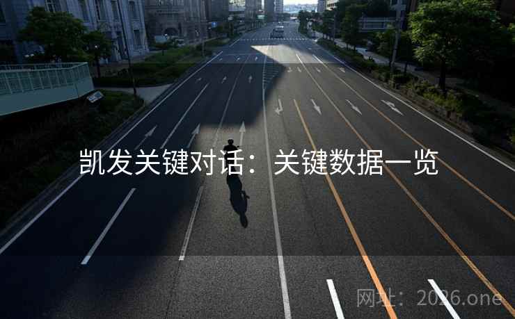凯发关键对话：关键数据一览  第2张