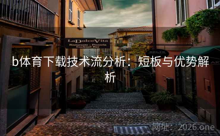 b体育下载技术流分析：短板与优势解析  第2张