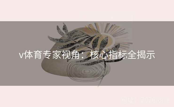 v体育专家视角：核心指标全揭示  第2张