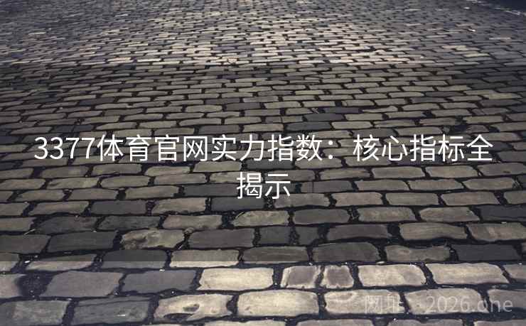 3377体育官网实力指数：核心指标全揭示  第2张