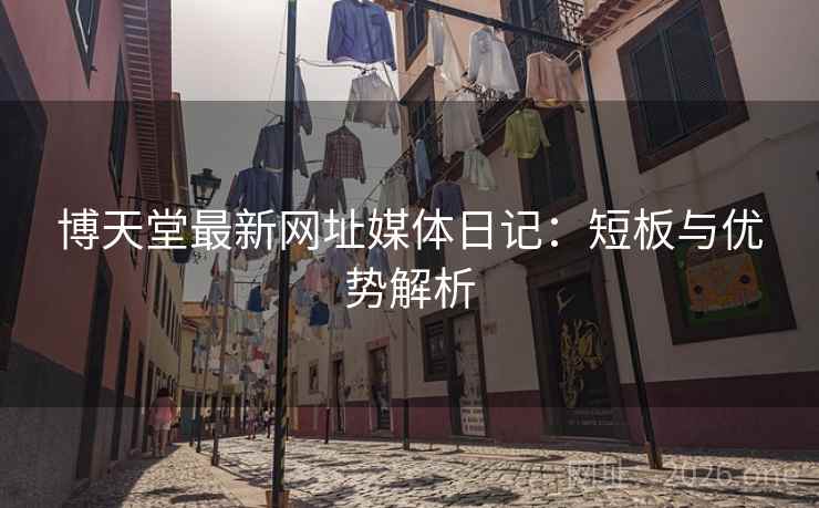 博天堂最新网址媒体日记：短板与优势解析  第2张