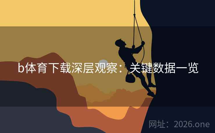 b体育下载深层观察：关键数据一览  第1张