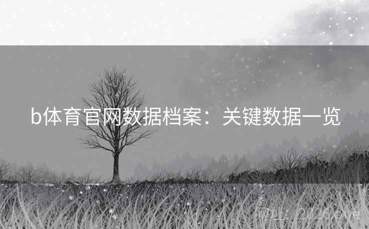 b体育官网数据档案：关键数据一览  第1张