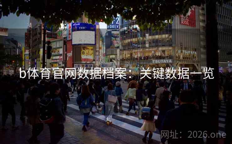 b体育官网数据档案：关键数据一览  第2张