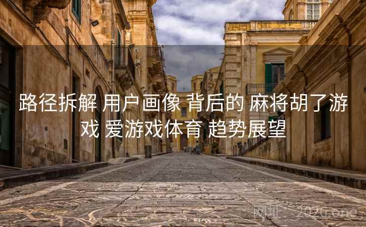 路径拆解 用户画像 背后的 麻将胡了游戏 爱游戏体育 趋势展望  第1张