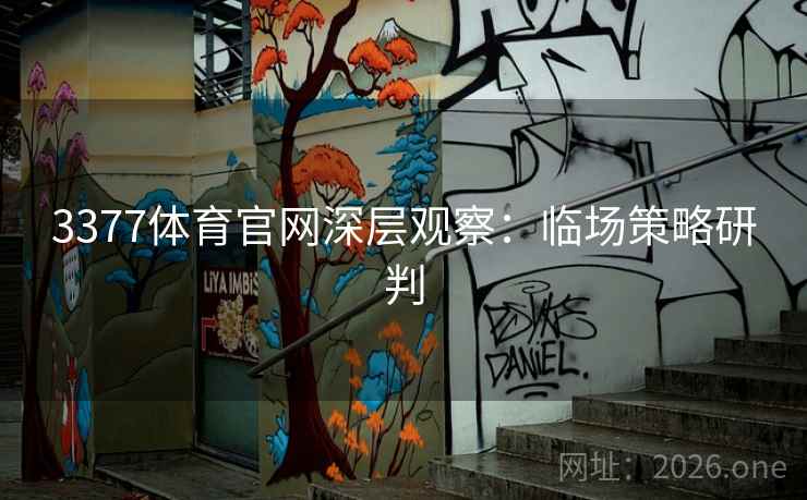 3377体育官网深层观察：临场策略研判  第1张