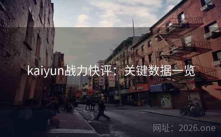 kaiyun战力快评：关键数据一览  第2张