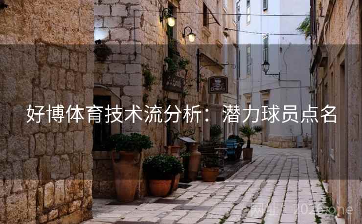 好博体育技术流分析：潜力球员点名  第2张