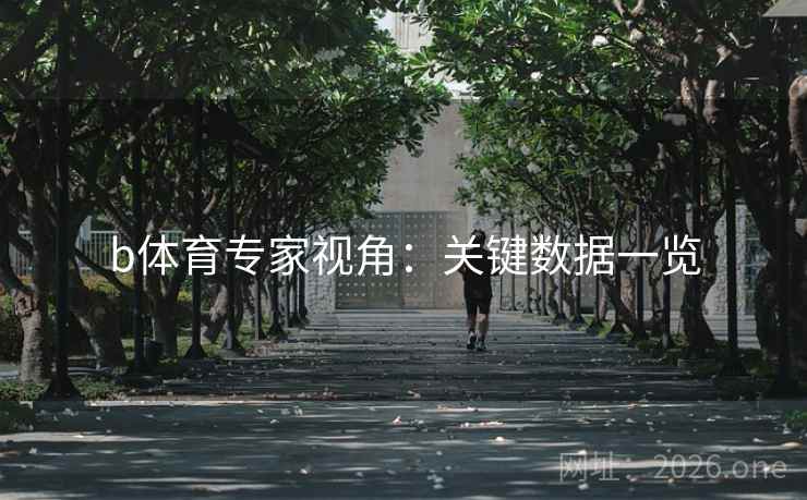 b体育专家视角：关键数据一览  第2张