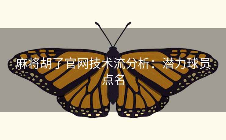 麻将胡了官网技术流分析：潜力球员点名  第1张