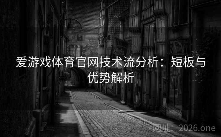 爱游戏体育官网技术流分析：短板与优势解析  第1张