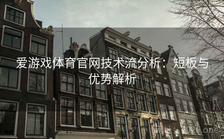 爱游戏体育官网技术流分析：短板与优势解析  第2张