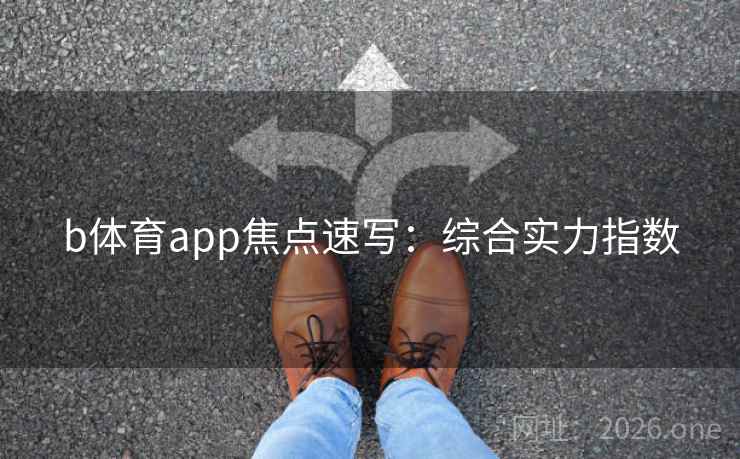 b体育app焦点速写：综合实力指数  第1张